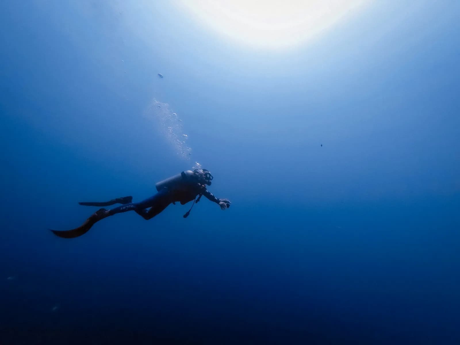 Comment débuter la plongée sous-marine : le guide complet en 2026