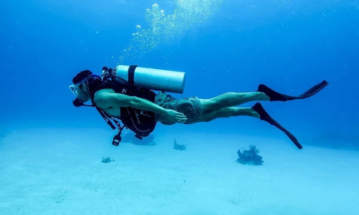 PADI ou FFESSM : quel brevet de plongée choisir en 2026