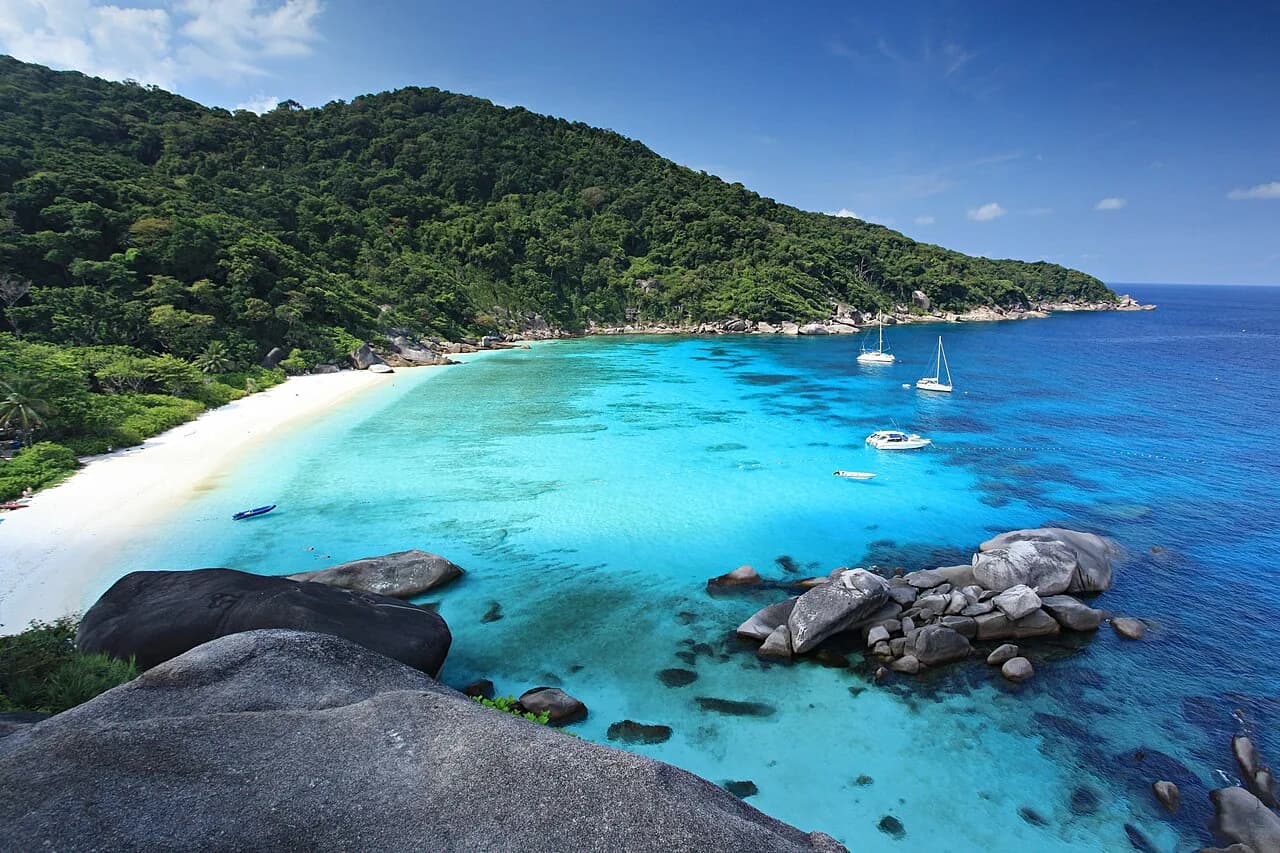 Plongée en Thaïlande : Similan, Richelieu Rock et saison